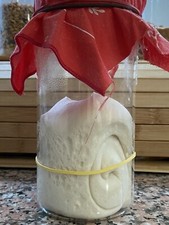 Lievito / Pasta Madre solida 200 gr. in barattolo 
