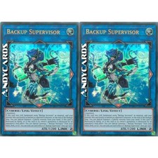 2x BACKUP SUPERVISOR •