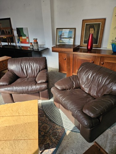 Coppia poltrone anni 70 - poltrone,