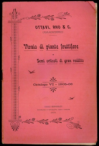 Vivaio piante fruttifere e - vivaio,