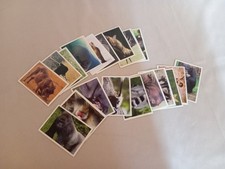 x20 FIGURINE Alla scoperta degli animali - Vendita in blocco o EVADO MANCOLISTA