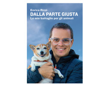 Dalla parte giusta - , mie