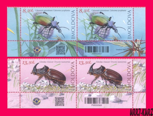 Moldavia 2024 natura fauna - moldavia,