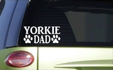 Yorkie Dad *H896* 8 inch