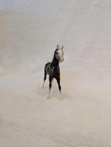 Carbone puledro - di,