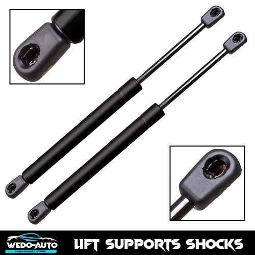 Rear trunk lift supports - trunk,