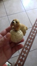 Cane su pallone - fondo di