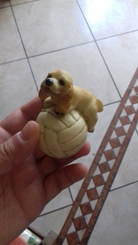 Cane pallone fondo di - -,