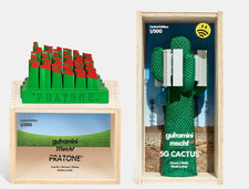 GUFRAMINI & MSCHF, 5G Cactus &