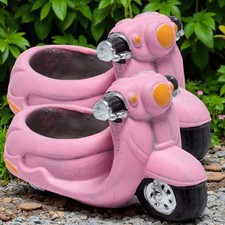 Novità Rosa Scooter Piante