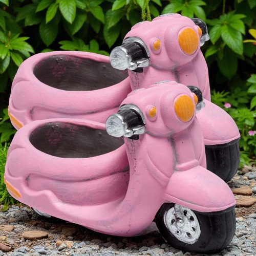 Novità rosa scooter - rosa, piante