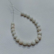 Autentico corallo bianco