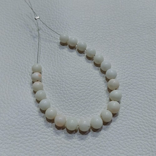 Autentico giappone corallo - giappone,