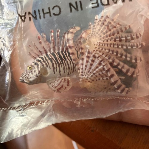 Lionfish enoshima acquario - enoshima,