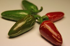 25 semi di peperoncino