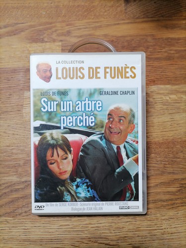 Dvd zone sur un arbre - zone,