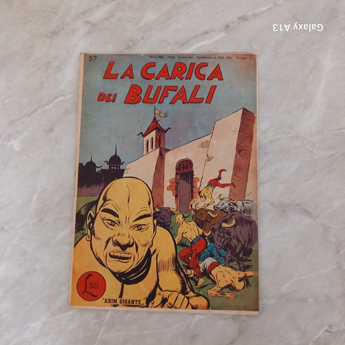 Akim carica dei bufali - akim,