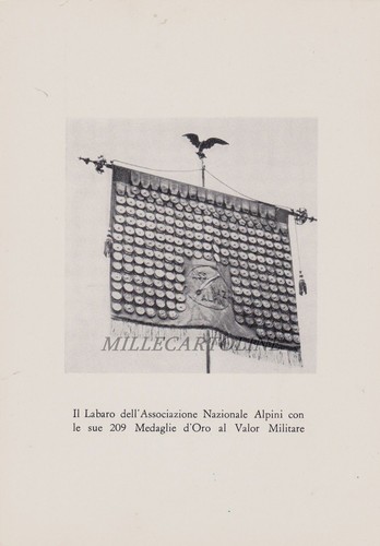 Militari labaro - militari:, il