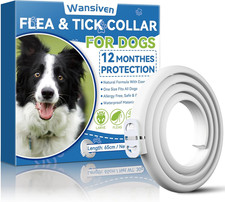 Collare Antipulci per Cani