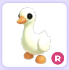 Ride goose virtual - ride, goose❤️