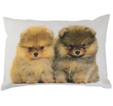 Fodera Cuscino Ovest Pomerania