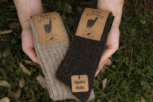 Calze lana alpaca paia - calze,