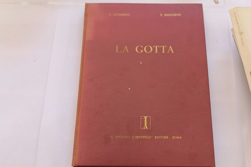 Gotta il pensiero - gotta-,
