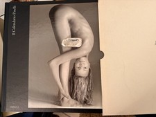 IL CALENDARIO PIRELLI -