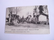 Grosseto - allevamento cavalli