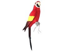 Papagallo 42x10x13cm Ds 26610
