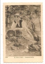 Pittore BARTOLOMEO GIULIANO (