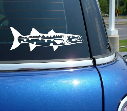 Barracuda pesca esca fishfry - pesca,