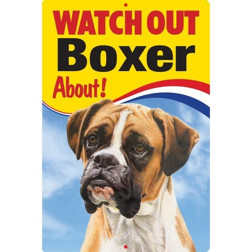 Boxer watch out - out,