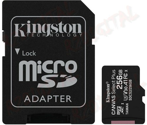 Kingston canvas plus - kingston,