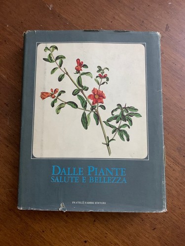 Dalle piante salute - dalle,