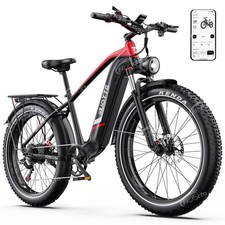 Bicicletta elettrica DUOTTS