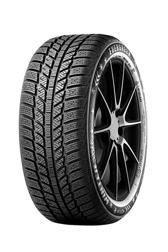 Gomme invernali evergreen - gomme,