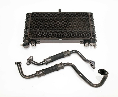 Radiatore olio motore suzuki - radiatore,