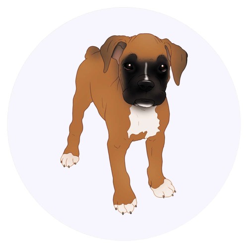 Adesivi cute boxer puppy - 'cute,