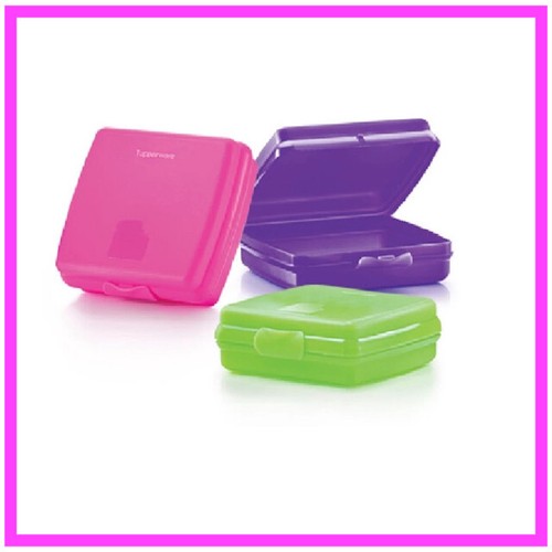 Tupperware sandwich keeper - sandwich,