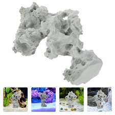 Vasca Per Pesci Sassi Acquario