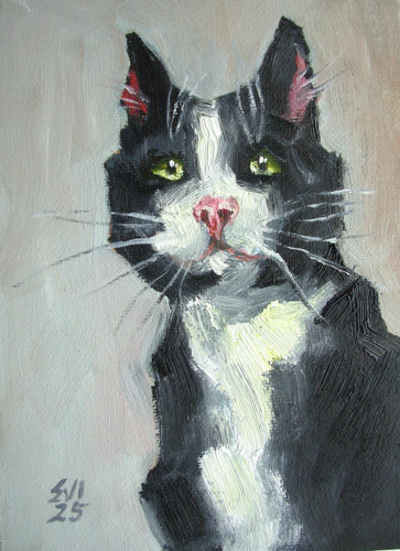 Gatto bianco nero - gatto, dipinto