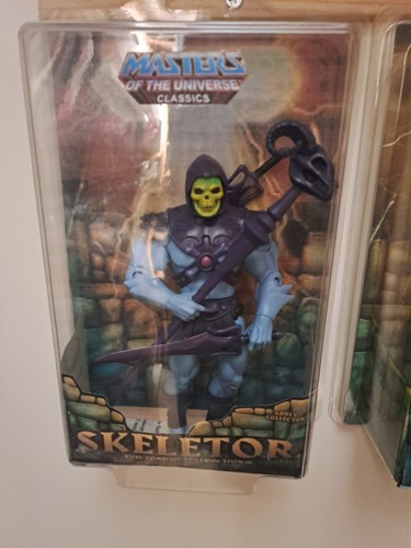 Skeletor master the - master,