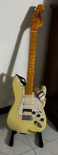 fender stratocaster Signature