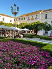 Dispenser Carta Bagno