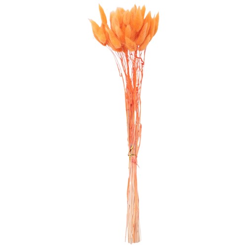 60pcs fleurs séchées - 60pcs,
