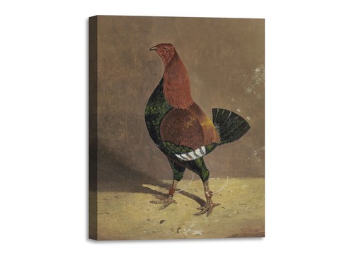 Quadro stampa tela - stampa,