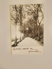 Camerino - Viale del giuoco del pallone