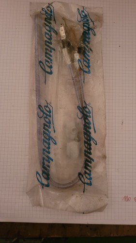 Cinghie pedali campagnolo - pedali,