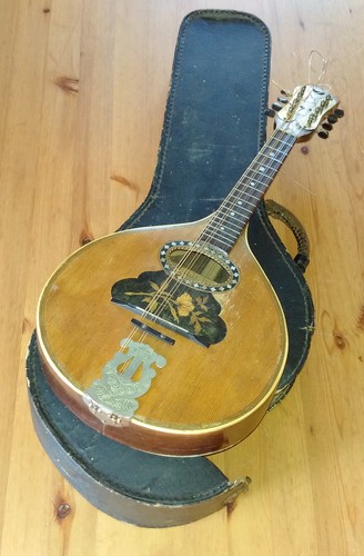 Antico mandolino custodia - antico,